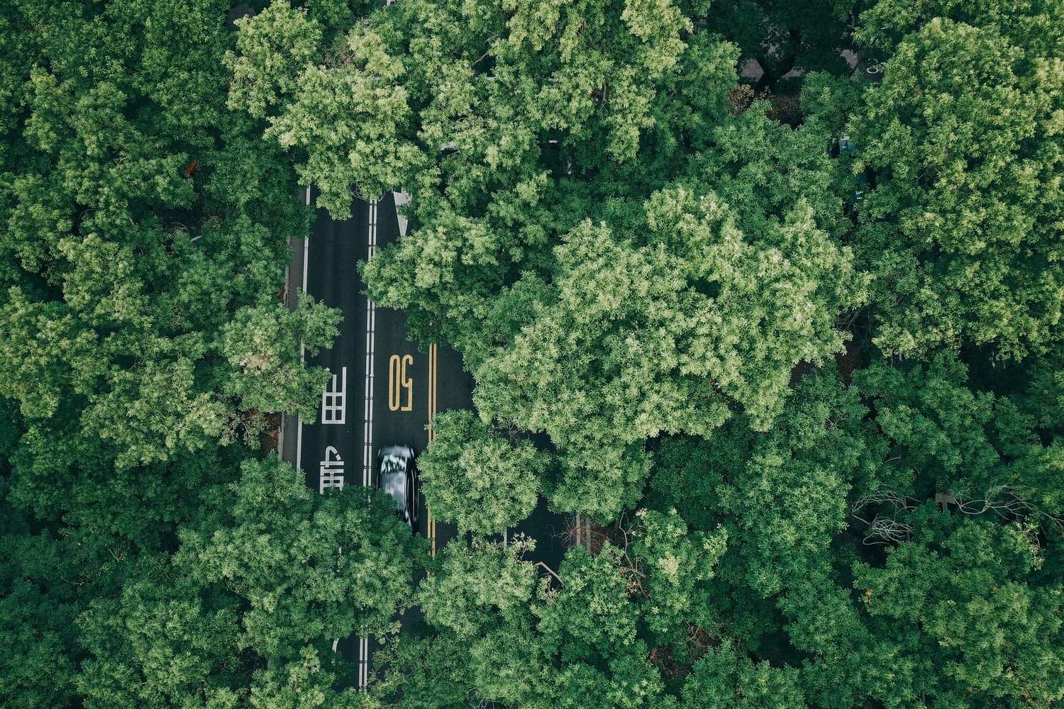 Drone DJI_0062_1